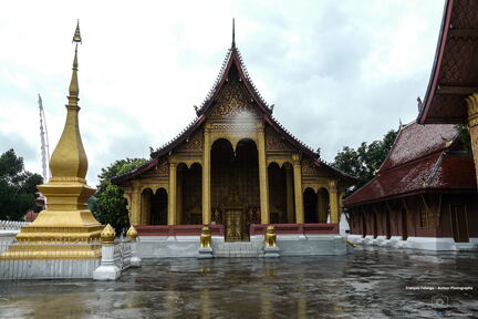 LAOS 2008