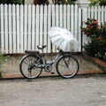 LAOS 2008