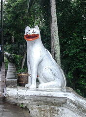 LAOS 2008