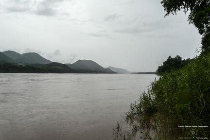 LAOS 2008