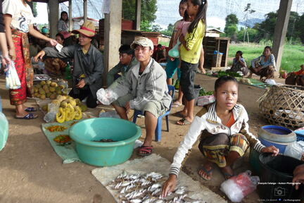 Fsai080710 Laos-Pakse-Marche 04