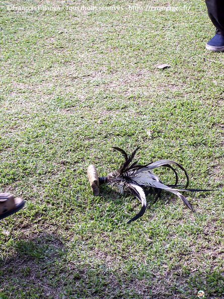 Fsai060712_Malaisie-Kota_Bharu-centre_culturel_24.jpg