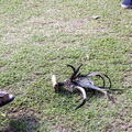 MALAISIE 2006 - Kota Bharu