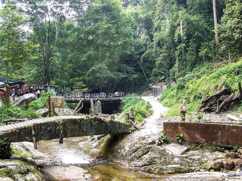 Fsai060718_Malaisie-Cameron_Highlands_010.jpg