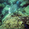 MALAISIE 2006 - Pulau Perhentian