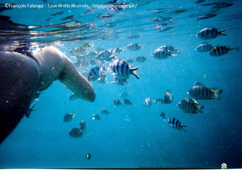 Fsai060727_Malaisie-Pulau_Perhentian-Snorkelling_07.jpg