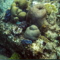 MALAISIE 2006 - Pulau Perhentian