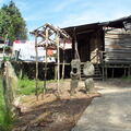 Fsai070706 Malaisie-Borneo-Batang Ai-Iban 13