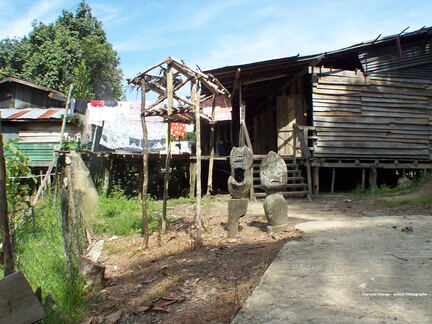 Fsai070706 Malaisie-Borneo-Batang Ai-Iban 13