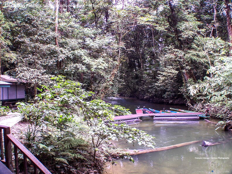 Fsai070711_Malaisie-Borneo-Mulu-Clearwater_Cave_47.jpg