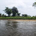 MALAISIE 2007 - Bornéo
