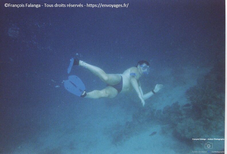 Fsai140115_Malaisie-Borneo-Pulau_Mataking_SousEau_15.jpg