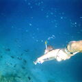 Fsai140115 Malaisie-Borneo-Pulau Mataking SousEau 23