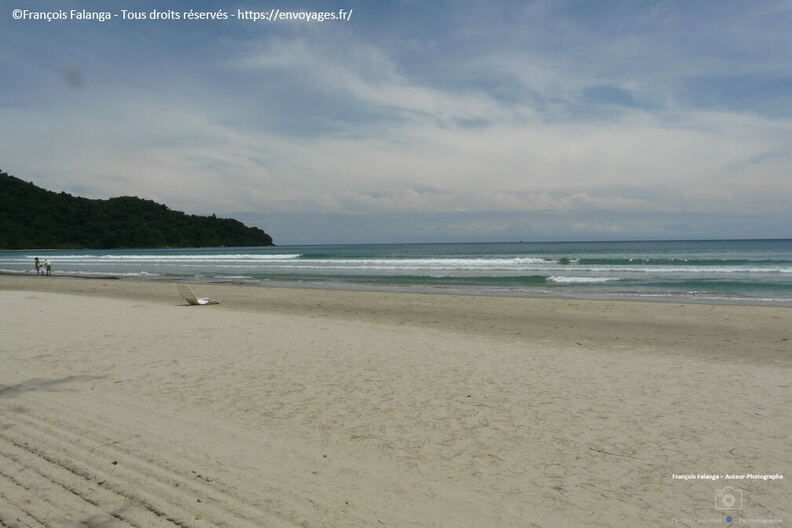 Fsai080724_Malaisie-Borneo-KK-Nexus_15.jpg
