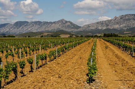 Occitanie - Mai 2013