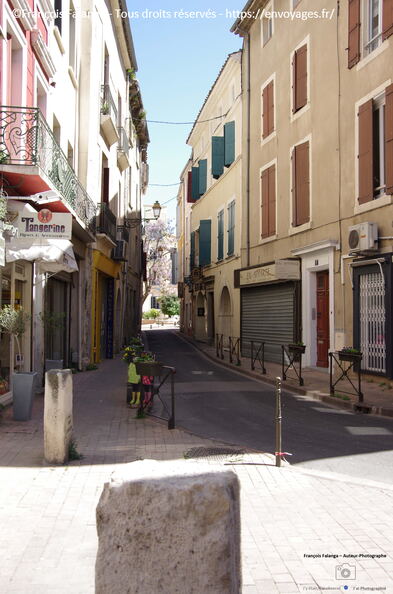 Fsai130506_Occitanie_Narbonne_52.jpg