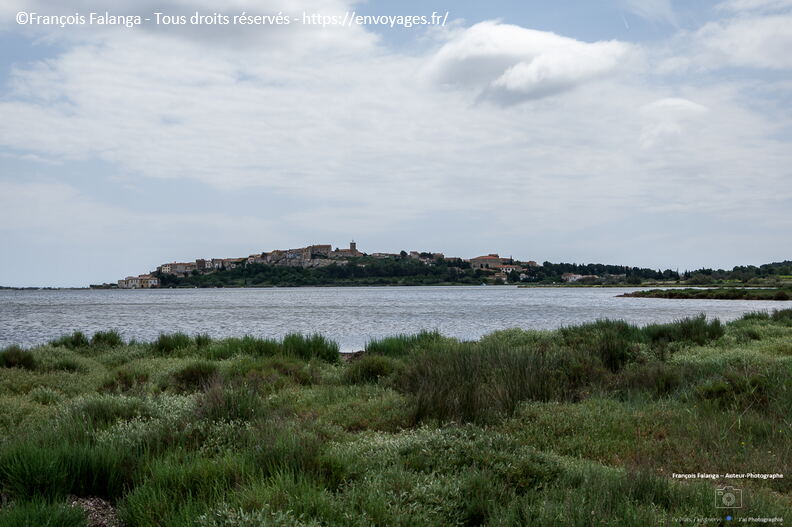 Fsai220523_Occitanie_Bages_02.jpg