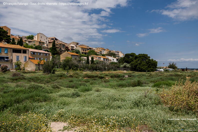 Fsai220523_Occitanie_Bages_30.jpg