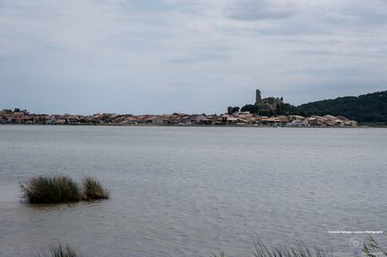 Narbonne - Mai 2022