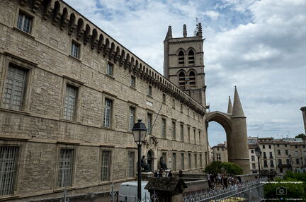 Narbonne - Mai 2022