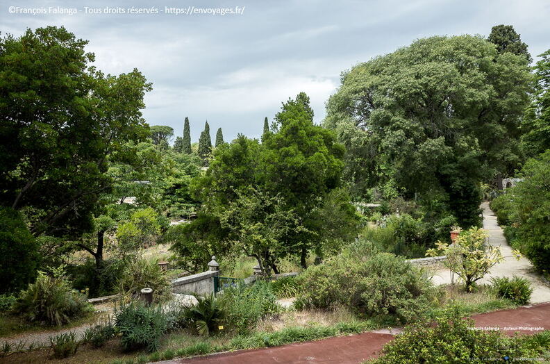 Fsai220524_Occitanie_Montpellier_43.jpg