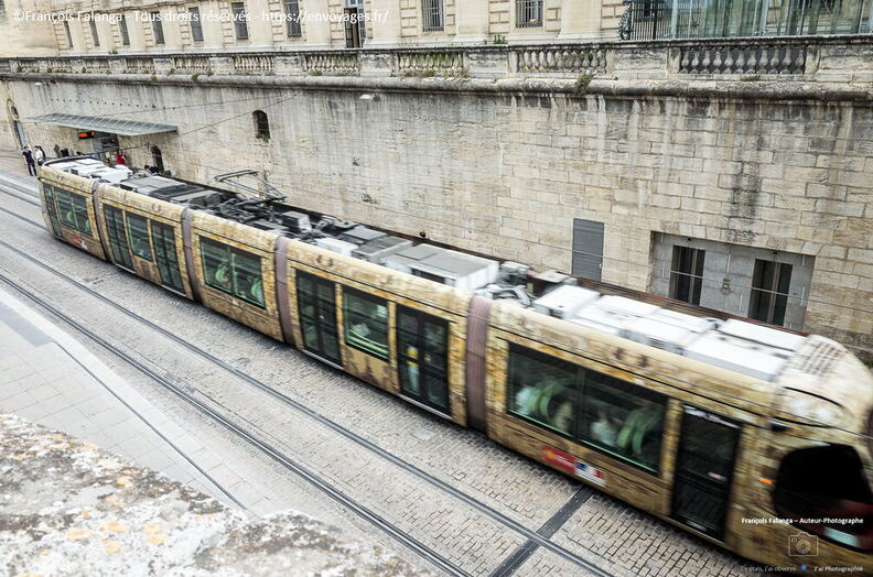 Fsai220524_Occitanie_Montpellier_46.jpg