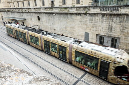 Narbonne - Mai 2022