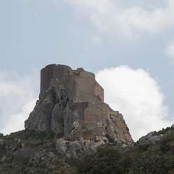 Queribus