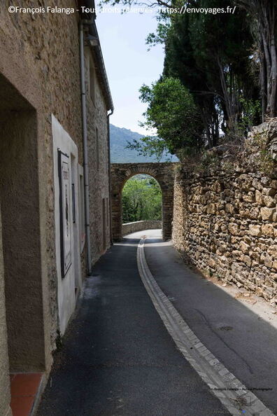 FSAI230515_Cucugnan_14.jpg