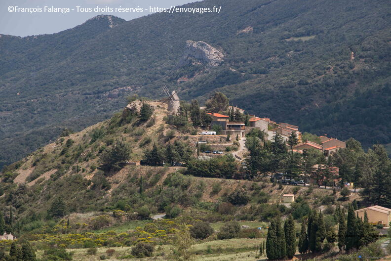 FSAI230515_Cucugnan_17.jpg