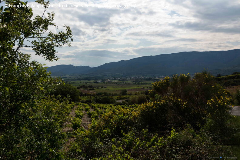 FSAI230515_Aguilar_05.jpg