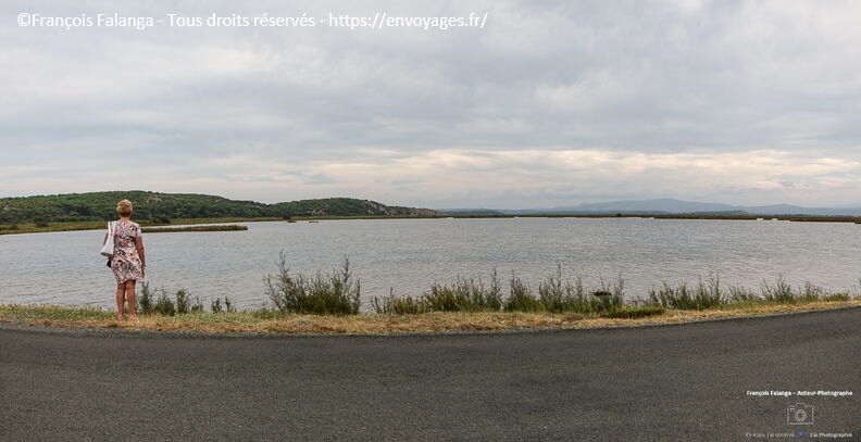 FSAI220907_Narbonne_Plage_EtangsNarbonnais_205-Panorama.jpg