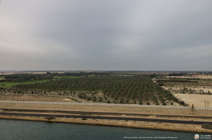 Egypte - Canal de Suez - Croisiere Dec 2017
