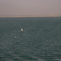 Egypte - Canal de Suez - Croisiere Dec 2017