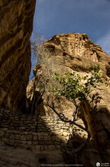 Jordanie - Petra - Croisiere Dec 2017