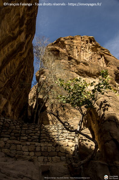 Fsai171212_047-Jordanie-Petra.jpg