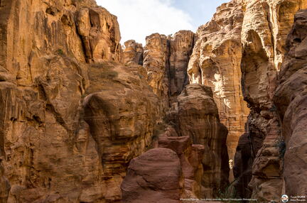 Jordanie - Petra - Croisiere Dec 2017