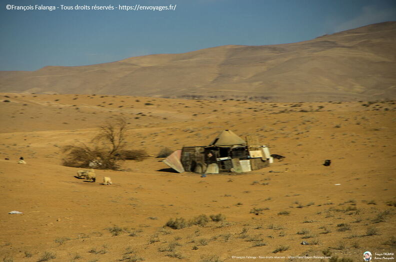 Fsai171212_030-Jordanie-AqabaAPetra.jpg