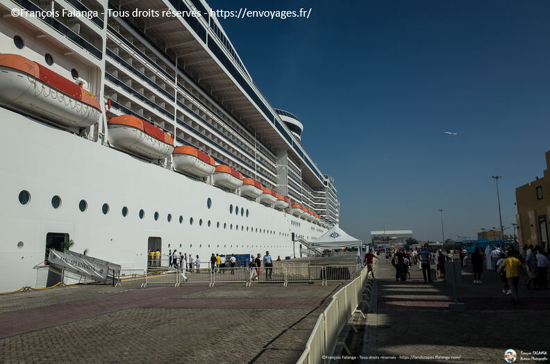 Fsai171222_03-Emirats-Dubai-Splendida.jpg
