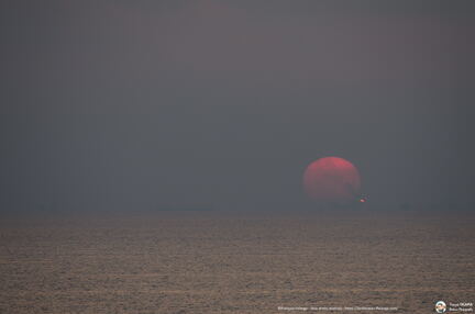 Quand le soleil allume la torche