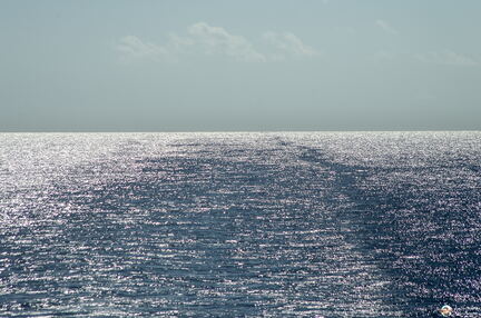 Mer d'Arabie - Croisiere Dec 2017