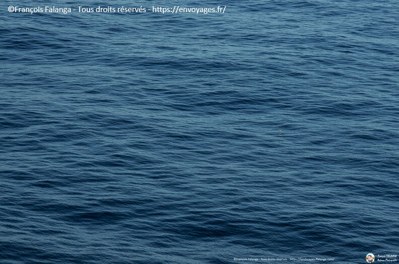 Fsai171216_19-MerArabie.jpg