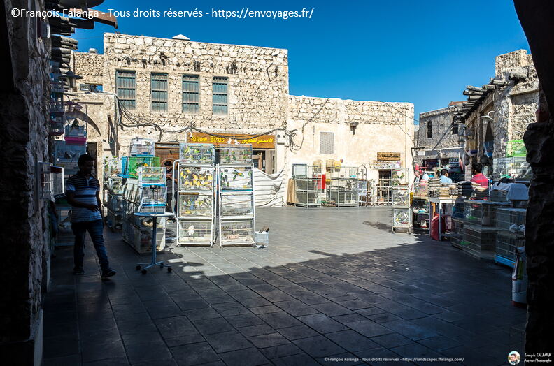 Fsai171220_114-Qatar-Doha.jpg
