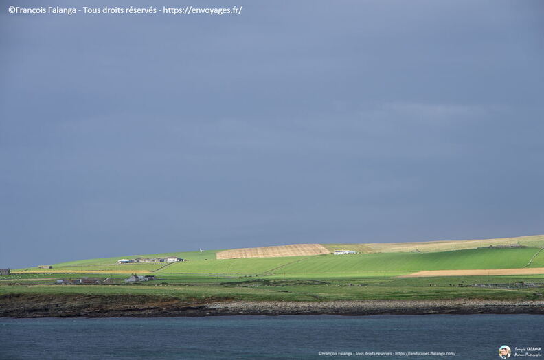Fsai190829_078-Ecosse-Kirkwall.jpg