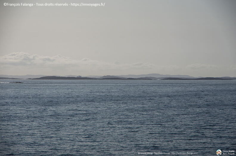 Fsai190820_007-MerDuLabrador.jpg