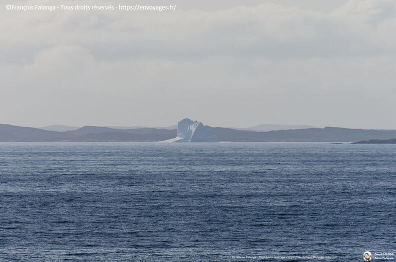 Fsai190820_010-MerDuLabrador.jpg