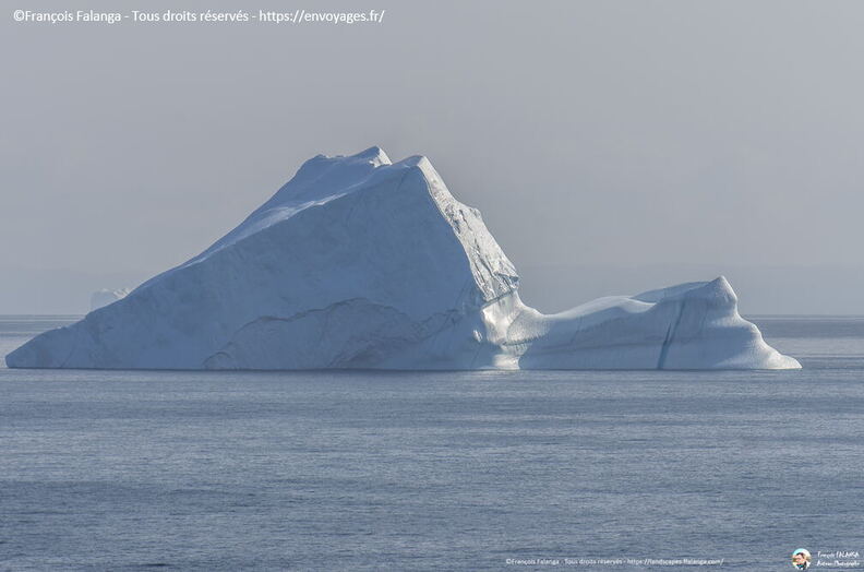 Fsai190820_020-MerDuLabrador.jpg