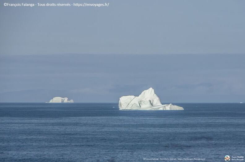 Fsai190820_051-MerDuLabrador.jpg