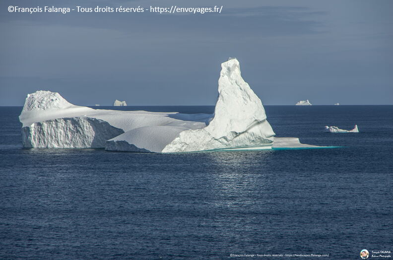 Fsai190820_060-MerDuLabrador.jpg