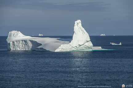 Iceberg in Labrador Sea